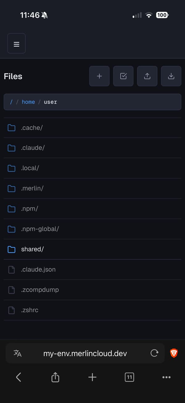 Merlin file browser on a phone showing the home directory