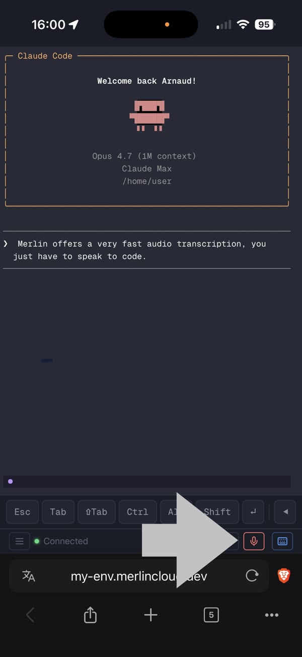 Merlin on a phone showing voice transcription with an arrow pointing to the microphone button